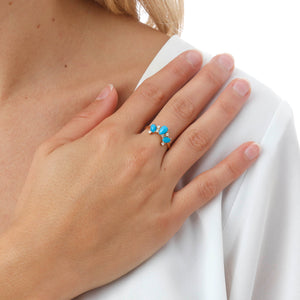 Anello Crown
